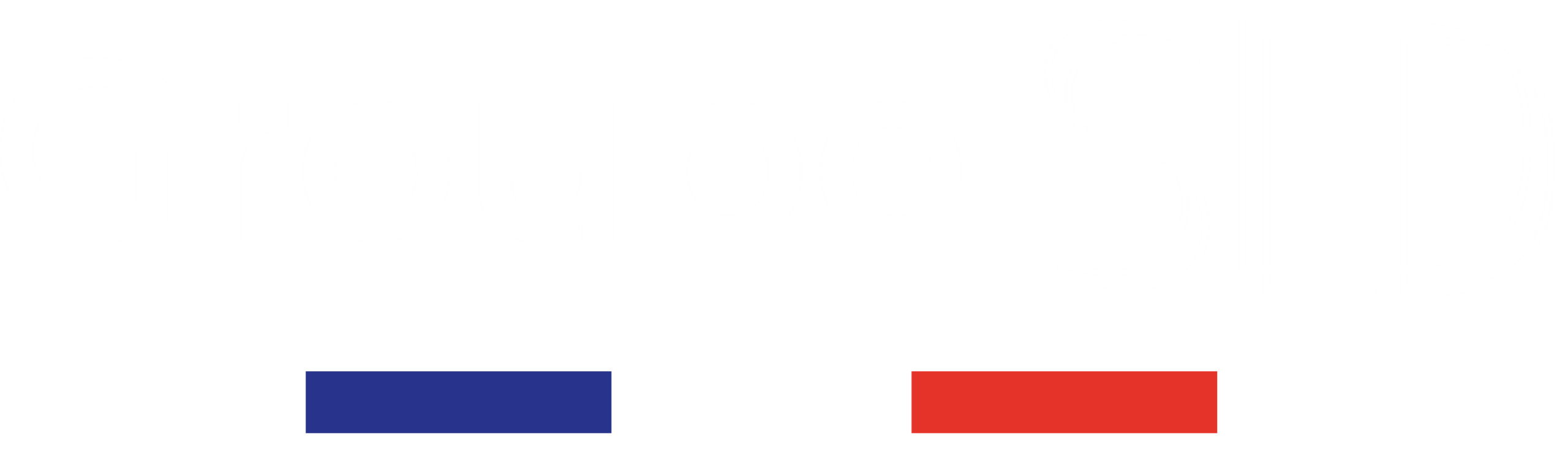 SLD Groupe